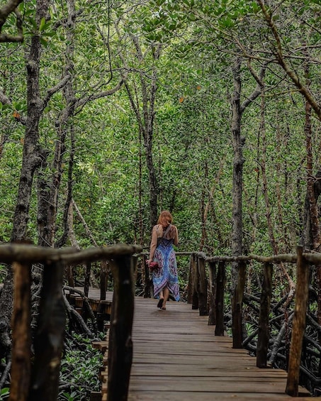 A woman walking on a wooden bridge surrounded by lush greenery. 2