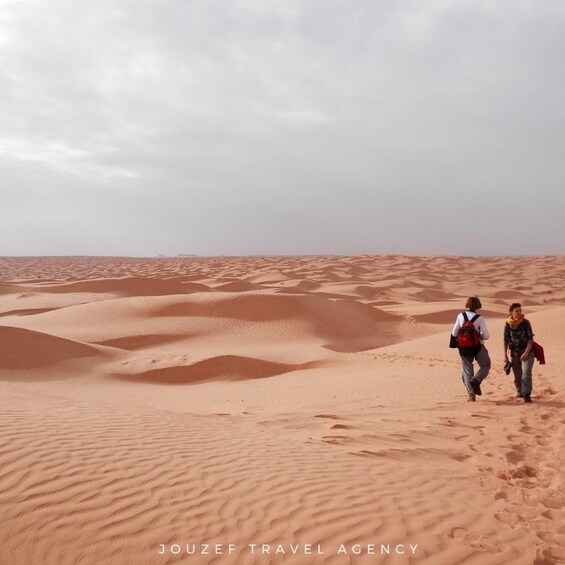 Two people walking on a sandy desert landscape with dunes. 5