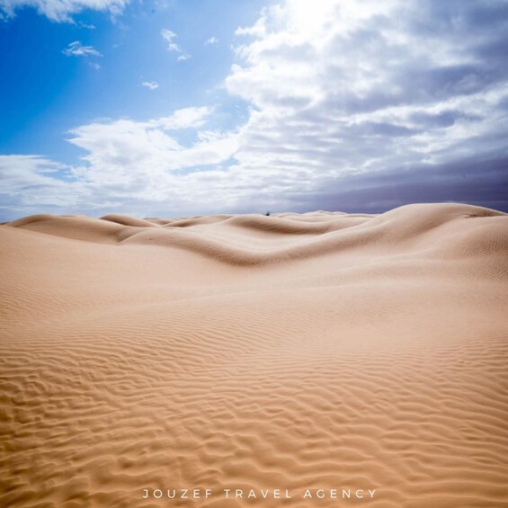 A vast desert landscape with undulating sand dunes under a partly cloudy sky. 3