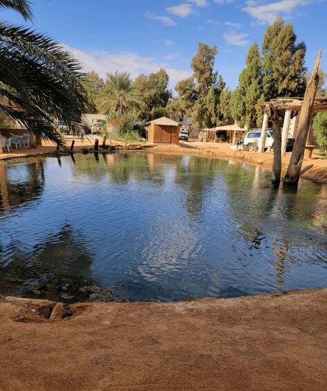 A calm water body with a wooden structure, palm trees, and a clear sky. 3