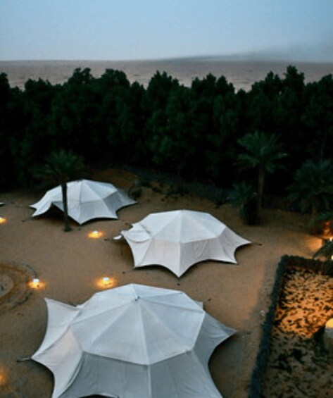 A beach with several white umbrellas and palm trees. 2
