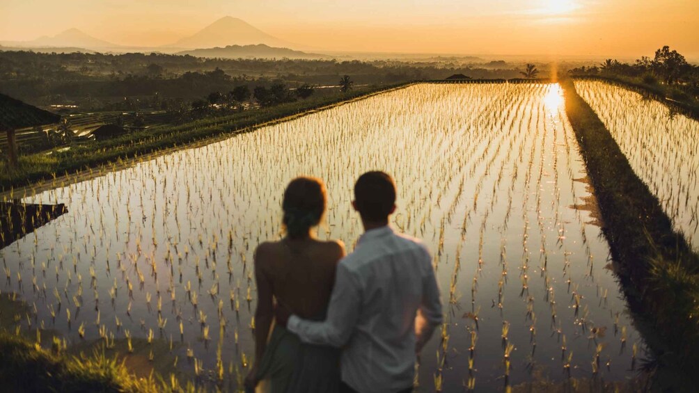 A couple standing in a rice paddy field during sunset. 1