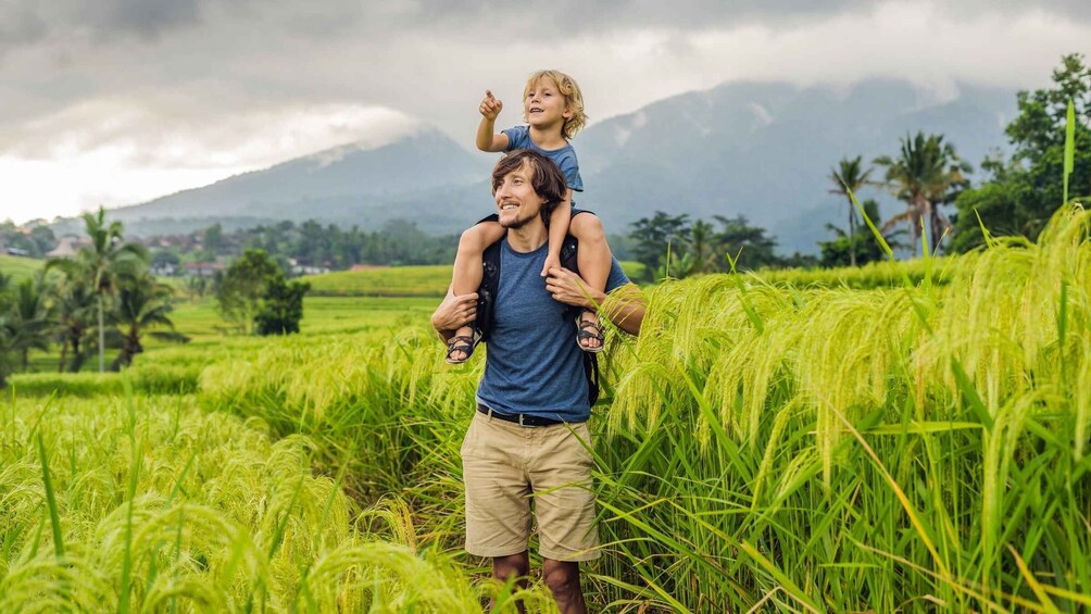 A man carrying a child on his shoulders in a lush green rice field with mountains in the background. 4
