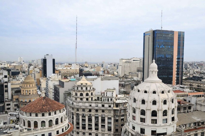 Picture 2 for Activity Buenos Aires from above: viewpoints, terraces, domes, and architecture 3