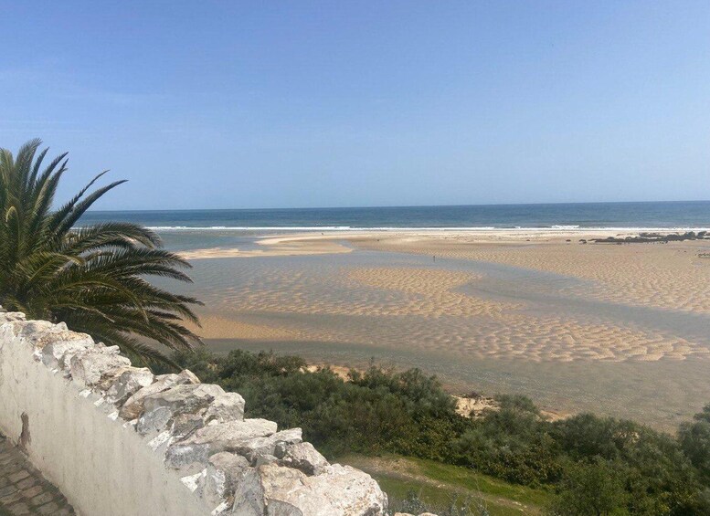 A coastal landscape with a sandy beach, palm trees, and a clear sky. 1