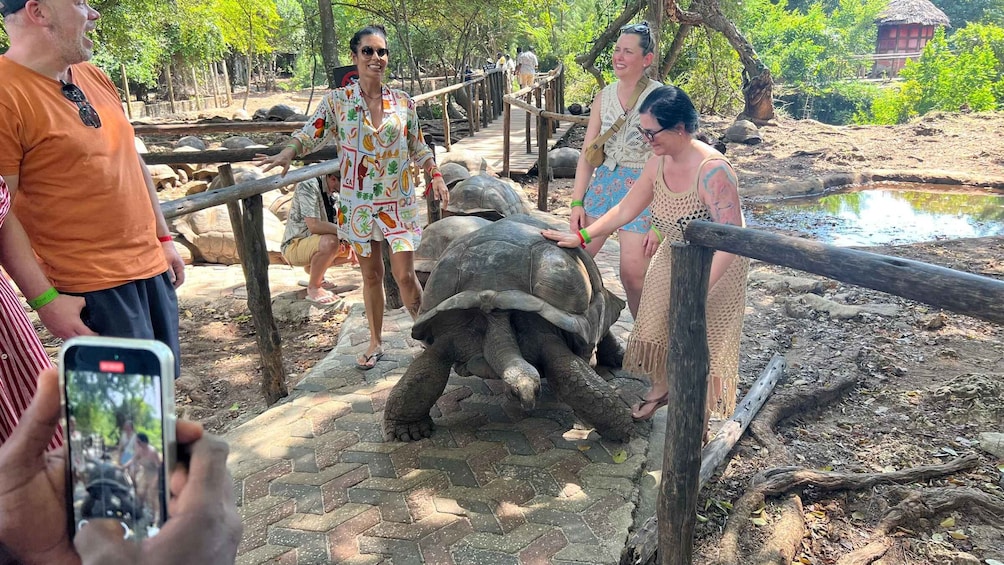 Picture 4 for Activity Prison Island Tour – History, Nature & Giant Tortoises! 1