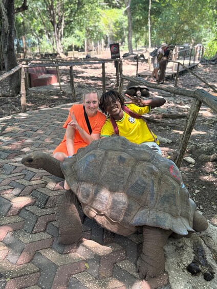 Two people sitting on a paved area with a large tortoise in between them. 2
