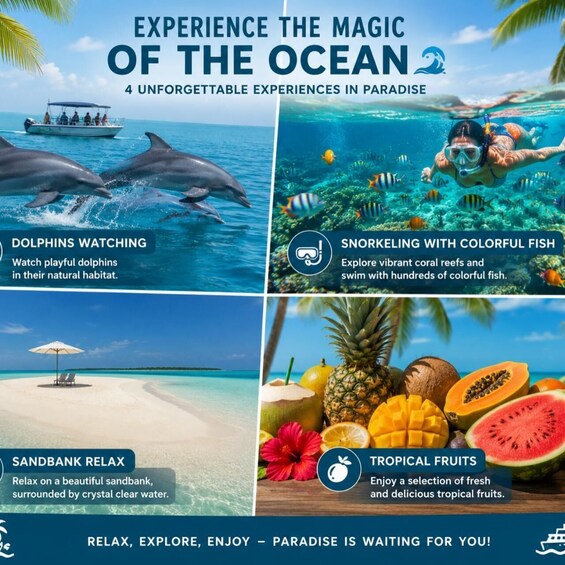 Picture 1 for Activity Zanzibar: Dolphins, Snorkeling, Sandbank & Tropical Fruits 2
