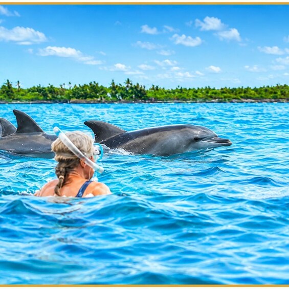 A person swimming with dolphins in a clear blue pool, surrounded by lush greenery. 5