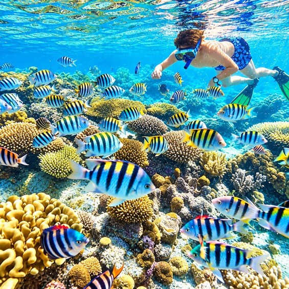 A person snorkeling among vibrant coral reefs and schools of striped fish. 2