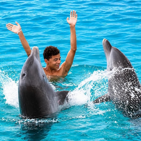 A person swimming with dolphins in clear blue water. 2
