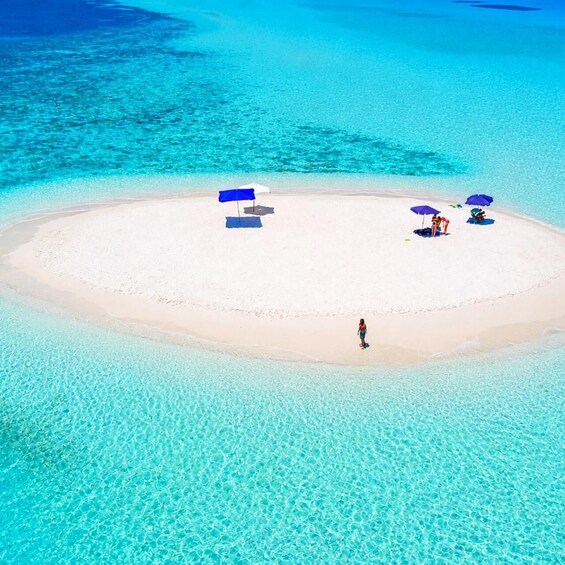 Picture 3 for Activity Zanzibar: Dolphins, Snorkeling, Sandbank & Tropical Fruits 5