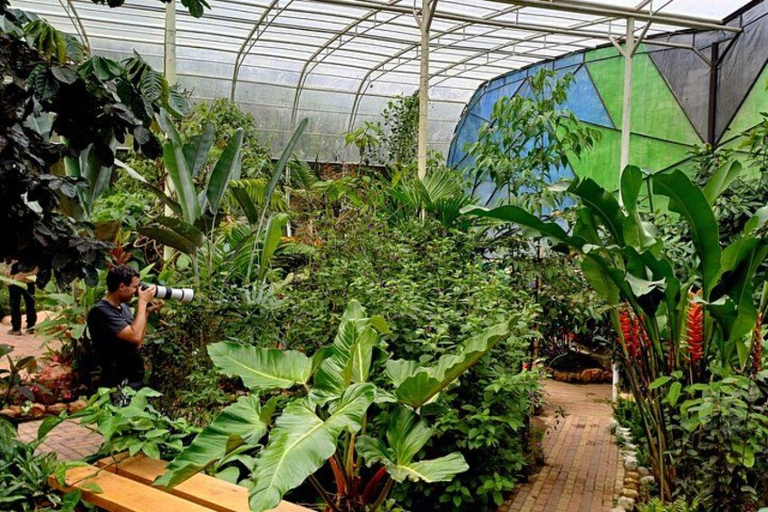 Butterflies sanctuary 3