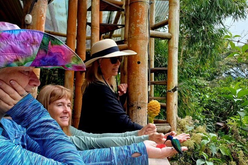 Experience real contact with nature at the best places for hummingbirds and birdwatching 1
