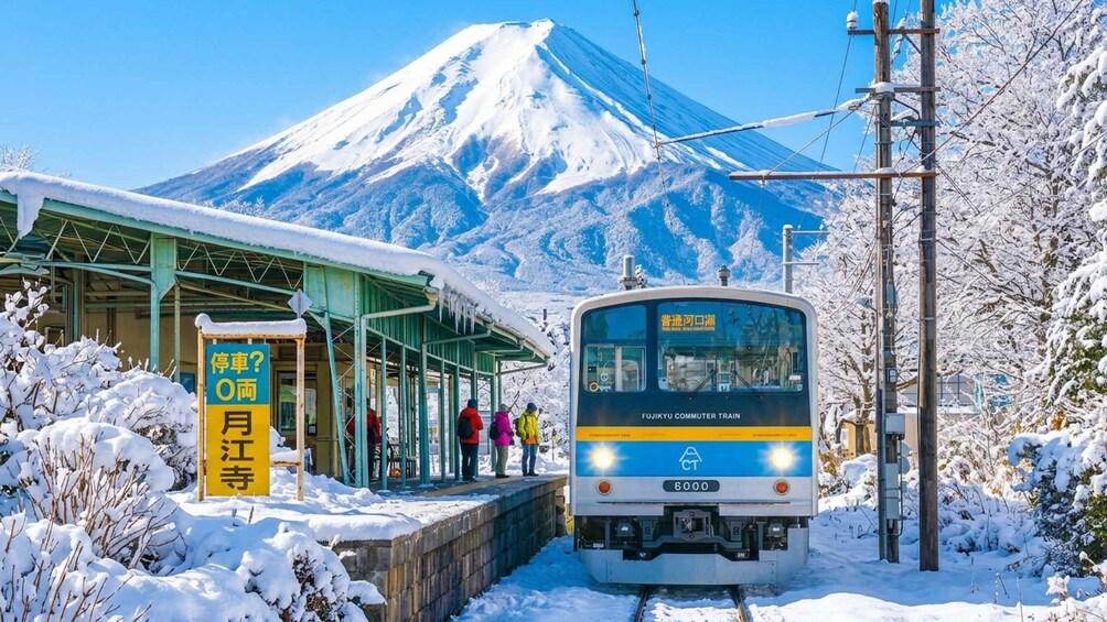 Tokyo: Mt. Fuji,Kawaguchi Lake,Ropeway&Free Fujikyu Train 1