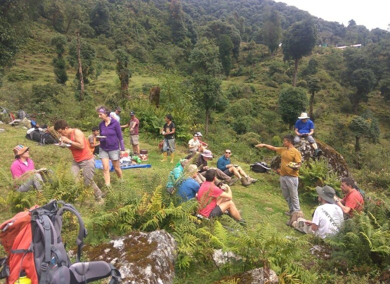 A group of people hiking in a lush, green mountainous area. 4