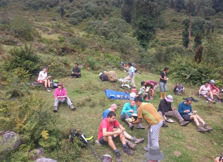 A group of people sitting on a grassy hillside with trees and ferns in the background. 2