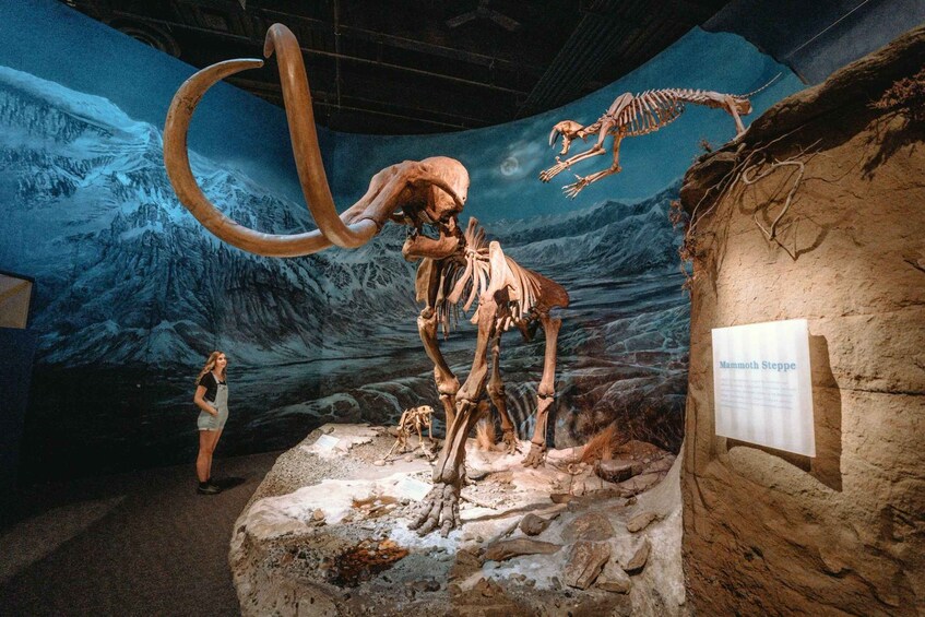A mammoth skeleton exhibit with a backdrop of icy landscapes. 5