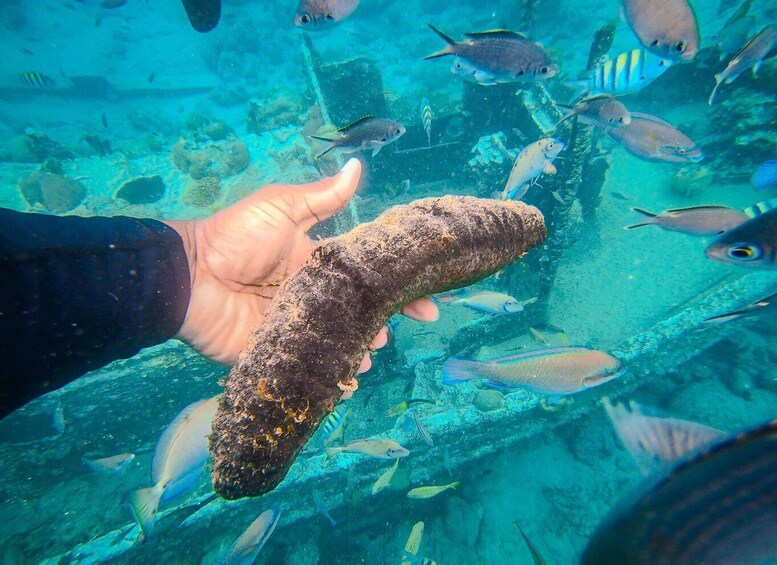 Picture 4 for Activity Curaçao: Boat Cruise with Snorkelling with Open Bar 5