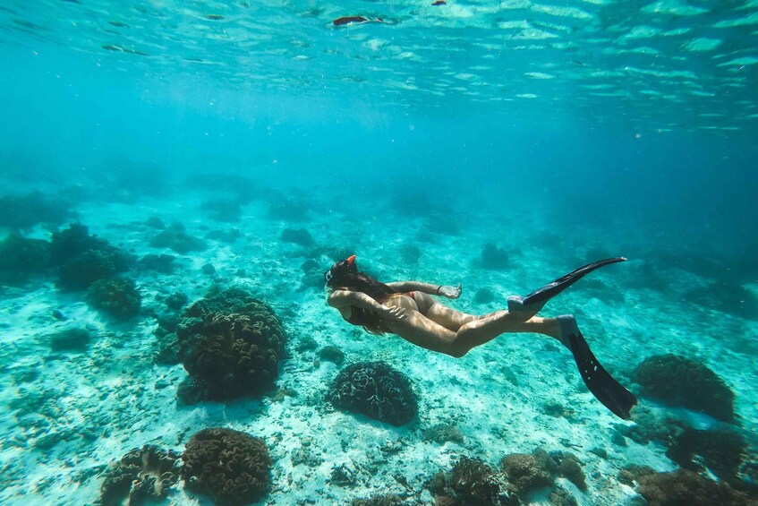 Curaçao: Boat Cruise with Snorkelling with Open Bar 1