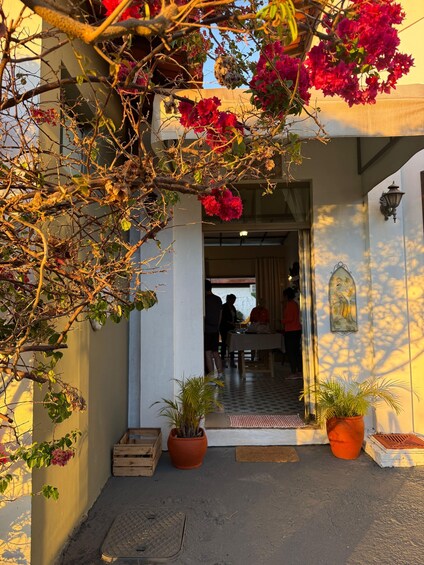 A building entrance with potted plants, a wooden crate, and red flowers. 2