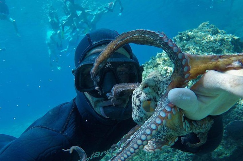 Milos: Half-Day Speedboat Cruise to Kleftiko with snorkeling tour 2