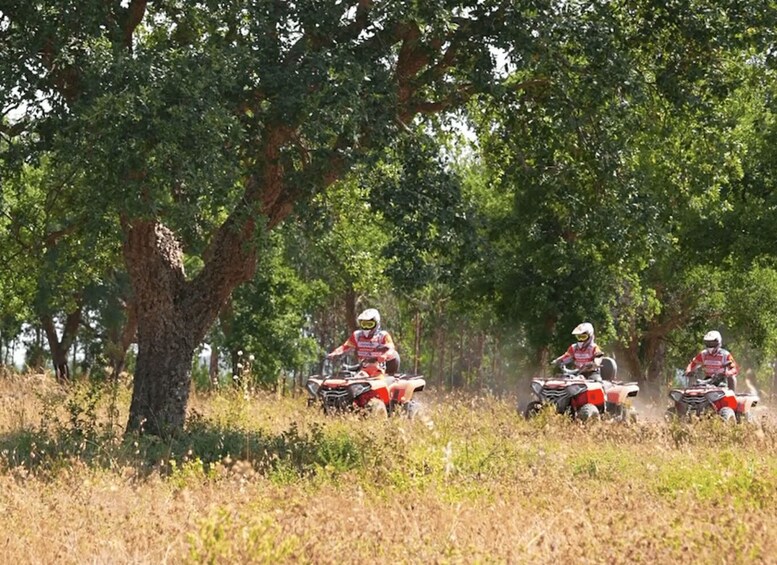 Picture 7 for Activity 2 Person Quad Tour with Guide - Carregado, Lisboa 2