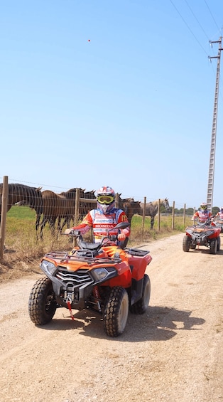 Picture 3 for Activity 2 Person Quad Tour with Guide - Carregado, Lisboa 3