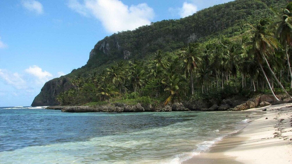 Picture 3 for Activity Las Galeras: Playa Madama Guided Hike with Beach Time 5