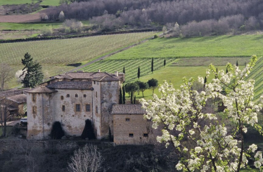Picture 6 for Activity Lyon: Countryside Food Tour and Cooking Class with a Chef 3