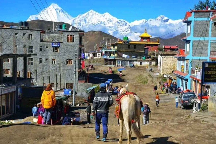 A mountainous village with buildings and a horse. 2