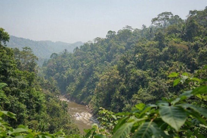 All-Inclusive Local Bali Traditions Tour with Driver Guide Ketut 3