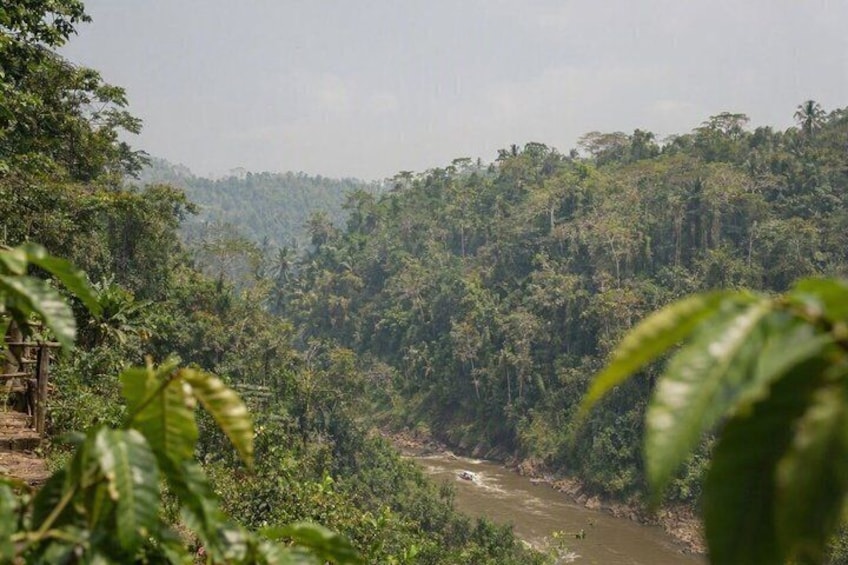 All-Inclusive Local Bali Traditions Tour with Driver Guide Ketut 5