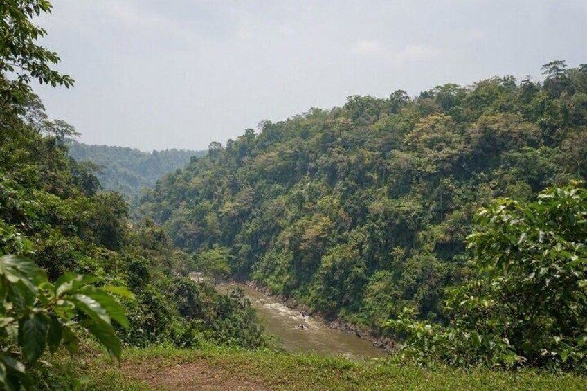 All-Inclusive Local Bali Traditions Tour with Driver Guide Ketut 4