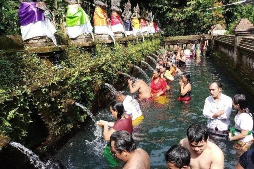 Real Bali Village Experience with Forest Walk & Water Cleansing 3 2