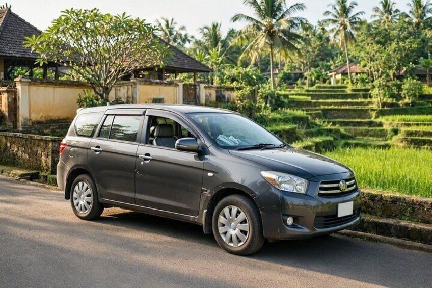 A dark-colored SUV parked on a road with terraced fields and palm trees in the background. 1