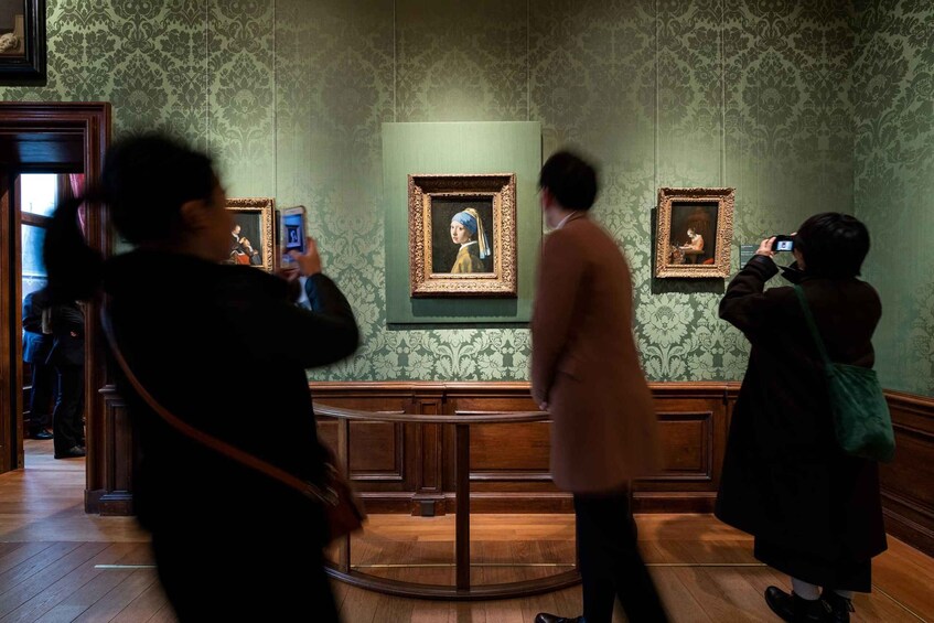 Picture 11 for Activity Mauritshuis The Hague: Private Guided Museum Tour with Entry 1