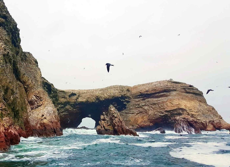 A coastal landscape with rocky cliffs and a sea arch. 2