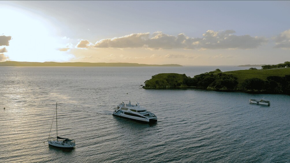 Picture 5 for Activity Waiheke Island: Ferry & Hop-On Hop-Off Explorer Bus Tickets 4
