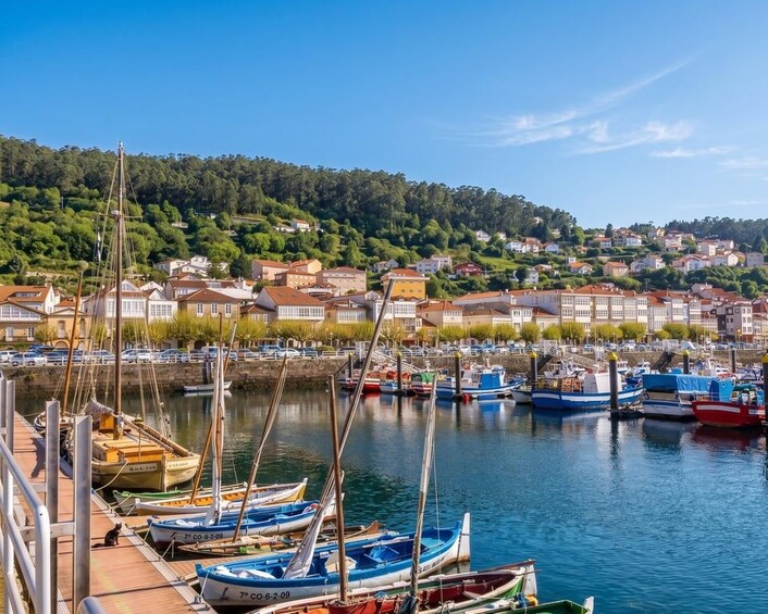 Picture 13 for Activity From Santiago: Rías Baixas Tour with Winery & Optional Boat 5