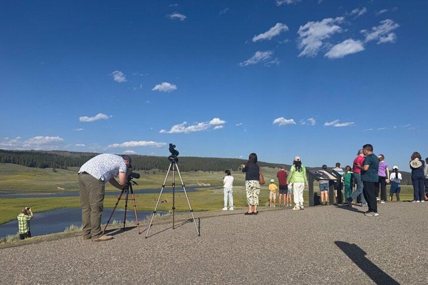 Spotting Scopes at Hayden Valley 2