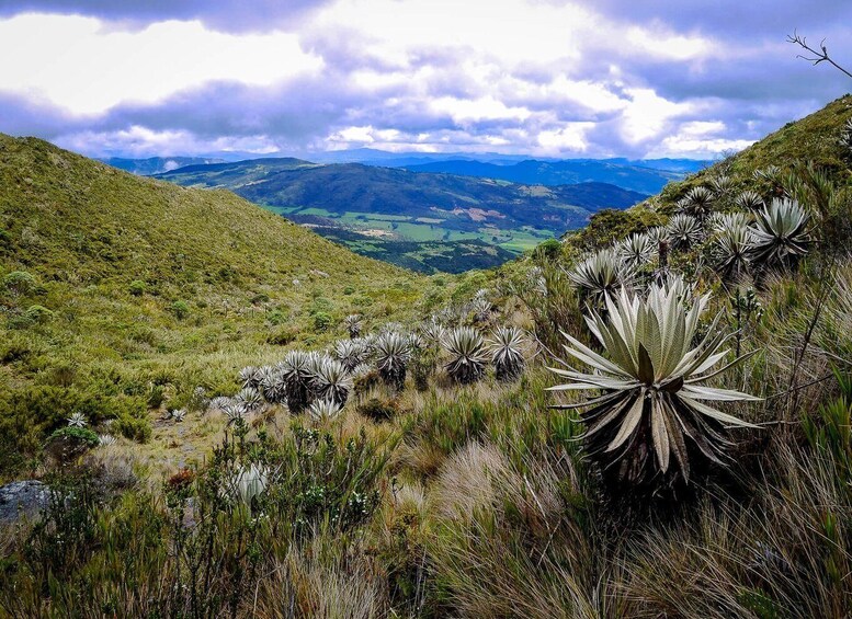 A mountainous landscape with a valley, dense vegetation, and a cloudy sky. 1
