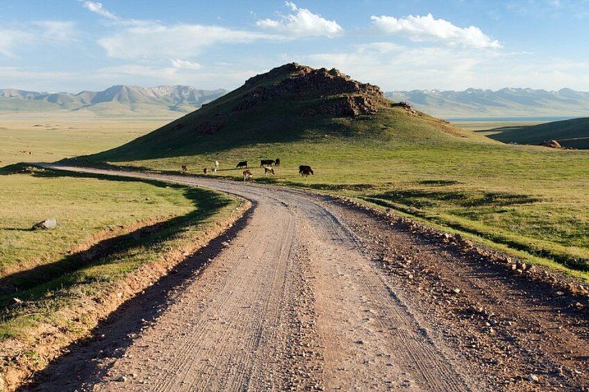 Un camino de tierra serpenteando a través de un paisaje cubierto de hierba, con una colina en la distancia y montañas al fondo. 4