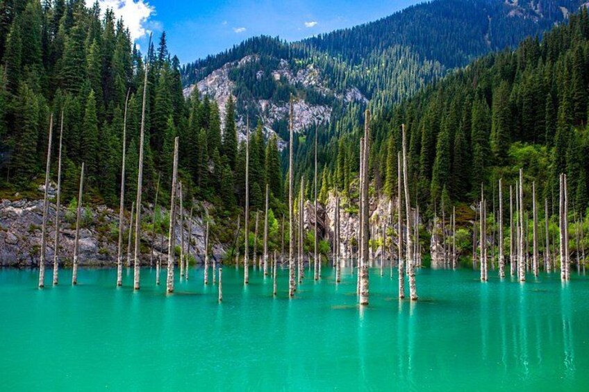 Un lago turquesa rodeado de altos árboles y montañas. 2