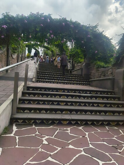 A staircase with patterned steps leading up to a covered area with flowering plants. 4