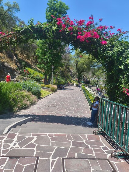 A paved pathway in a park with pink flowers and greenery. 3