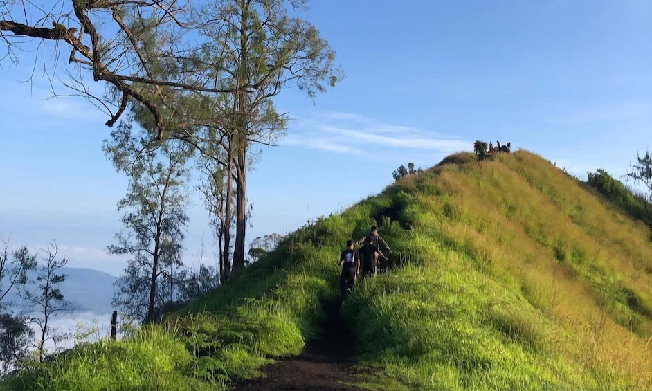 A group of hikers ascending a grassy hill with trees and a clear sky. 1