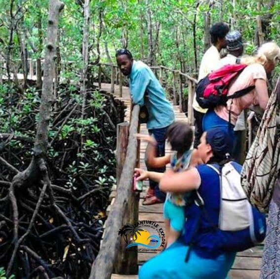 Menschen gehen über eine Holzbrücke in einem Mangrovenwald. 3