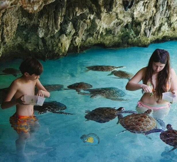 Ein Schwimmbad mit Schildkröten und Menschen, die sie füttern. 5