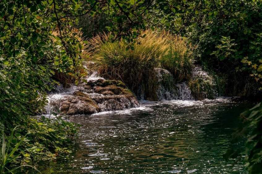 Picture 7 for Activity From Zadar: Krka National Park and Waterfalls Day Trip 4
